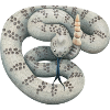 Rattlesnake