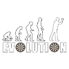 EVOLUTION DARTS Game Arrow Dartboard Gift