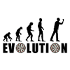 EVOLUTION DARTS Game Arrow Dartboard Gift