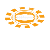 Professional Fantasy Football Player