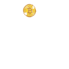 Hold Bitcoin