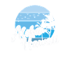 Hawaii Aloha USA America