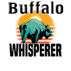 Buffalo Bison Ox Indian American