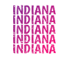 Indiana USA America State