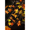 Buntes Ahornlaub