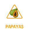Papaya Fruit Summer Gift