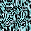 Turquoise Wildcat Pattern