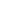 SilverSister white birds