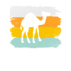 Camel Retro