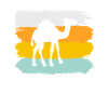 Camel Rétro