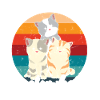 Cats are at home everywhere