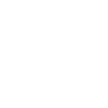 Urban Chicago Design