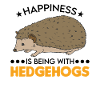Igel Glück Stacheligel