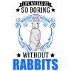 Rabbit Gift Rabbit Rabbit