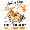 Shetland Pony Gift Shetty