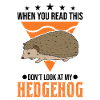 Igel Geschenk Stacheligel