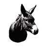 Donkey Artful stencil printing