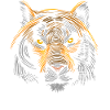 Tiger face with lines