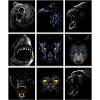 Rectangles with tribal animals