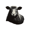 Sheep stencil Art.-nr