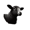 Sheep stencil Art.-nr