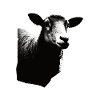 Sheep stencil Art.-nr