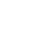 Car Enthusiast
