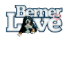Bernese Mountain Dog