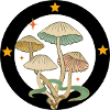 Restez trippy | Imprimé champignon