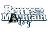 Bernese mountain dog