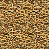 Ocelot Pattern