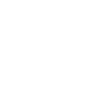 Secret Lawyer Things