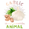Garlic, funny spoke, Garlic illustration