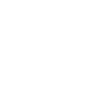 Lawyer