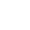 Lawyer Mom
