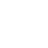 Lawyer Mother