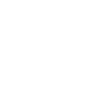 Lawyer Aunt