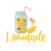 Limonade Geschenkideen