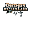 Berner Sennenhund