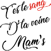 sang de la veine