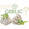 Garlic, funny Spuch, Got-Garlic