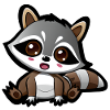Raccoon