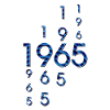 1965 year