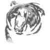 Free bear kisses
