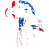 USA flag eagle