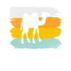Camel Retro