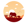 Elephant family circle