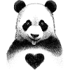 Panda Love