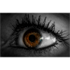 Auge