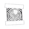 American Football Girls